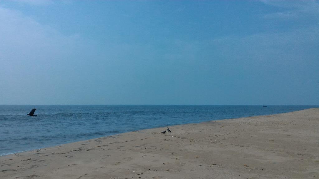 Marari Secret Beach Yoga Homestay Mararikulam Dış mekan fotoğraf